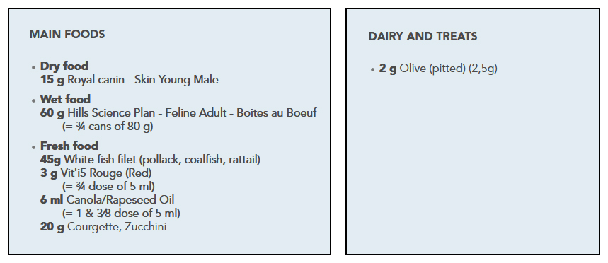 Ingredients for a mixed recipe for a cat